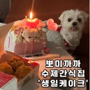 뽀미랑 | 광주 강아지 케이크 수제간식 잘하는 뽀미까까