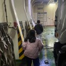 삼학로 158번길 | 제주도에서 목포로 차량선적 퀸제누비아호2 차량하선