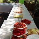 잭과 사과나무 이미지