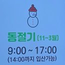 원대리 자작나무숲 | 설명절에 인제 원대리 자작나무숲 다녀온후기