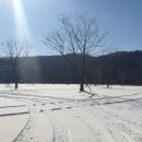 SILENTIUM 침묵 이미지