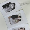 신우꽃집 | w.06 바로오늘이그날 스튜디오 촬영 ( 홍준우 작가님 )