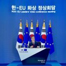 소속사) 한-EU 화상 정상회담 이미지