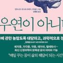 아파트 꿈, 아파트로 이사를 가는 꿈, 아파트에서 떨어지는 꿈 이미지