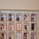 뉴핏 | 영통에서 찾은 깔끔한 필라테스, 뉴핏 필라테스 영통점 후기