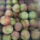 갈밭농장 이미지