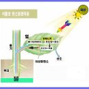 HW-1 (식물의 탄소동화작용) 이미지