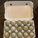 대부도한옥펜션 해솔 이미지