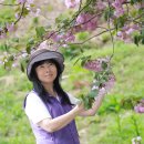 합도초교 이미지