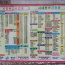 상장1리 Daum카페