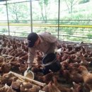 태은농장 이미지