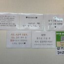촌닭이이두마리