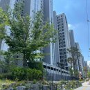 신흥경로당 | 성남 신흥역 하늘채 랜더스원 아파트 입지 시세 학군 교통 투자가치 커뮤니키 평면도 정