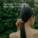 피그헤어