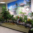 청석초등학교 이미지