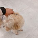 소임PTSTUDIO