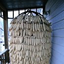 가평비타민팜체험농장 이미지