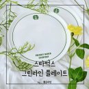 스타벅스 테이블웨어 그린라인 플레이트 접시 후기