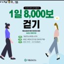 거창군보건소 | [거창군] 59일간 41만 보 걷기 챌린지 참여 후기 - 김경자 기자