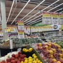 라구나 펜션 | 연천펜션 추천 스텔라토풀빌라 감성있는 서울근교펜션