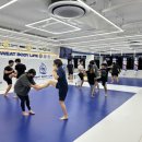 스웻바디라이프mma주짓수킥복싱 이미지