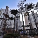 리슈빌탑공인중개사사무소 이미지