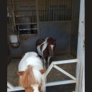 홍성도매낚시 이미지