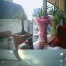 [동성로 대백 정문 앞 버거킹 5층 건물]그린하우스(사진 있습니다)-돈까스,오무라이스,스테이크 등 양식 이미지