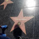 풋프린트 동판 | [미국/LA] Hollywood / Melrose Trading Post / Farmers Market &amp; The Grove (Aug 20, 2017)