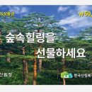 애나드 베이커리
