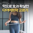 참약사유명약국 | 약국 다이어트약 에스라진, 다이센, 알룬 맞는 체질과 주의사항까지 약사가 정리해드릴께요