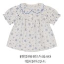 아일라