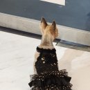 가야무도장 이미지