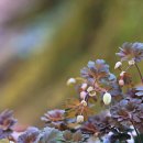 지계마을 이미지