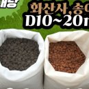 제이레포츠