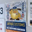 호shop | FUKUOKA … 하카타 편(Day0.5-1) | 뉴-카멜리아호 후기 | 오호리공원 | 캐널시티 | 돈키호테 ☆·₊*•.¸♥