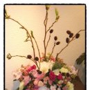 서교초교 이미지