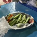 은지마차 이미지