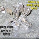 자연의섭리를 또 하나 배웁니다( 한푼줍쇼) 이미지