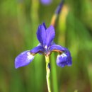 인천아시아드경기장 이미지