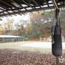 아지청소년야영장 이미지