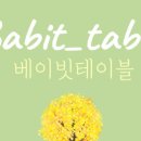 베이빗