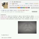 갑자기 한글이 안써진 어느 웃대인의 도움요청.jpg +후기 추가 이미지