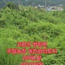 대구농장