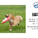 인덕원동물의료센터 이미지