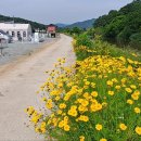 주치길 이미지