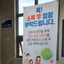 석사용인대신성태권도 이미지