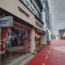 사계절커튼 | 토니모리 홍대점, 사계절 쾌적한 매장을 위한 ‘에어커튼’ 설치 후기! (벌레·외풍 차단)