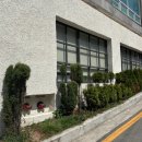 동백농장 | [해운대 동백역 양식 맛집] 스미스씨네농장 웨이팅 없이 방문 후기(메뉴, 주차, 예약)