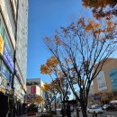 평촌역 | 작심스터디카페 안양평촌역점 후기 | 노트북 사용가능